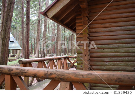 木屋森林景觀 81839420