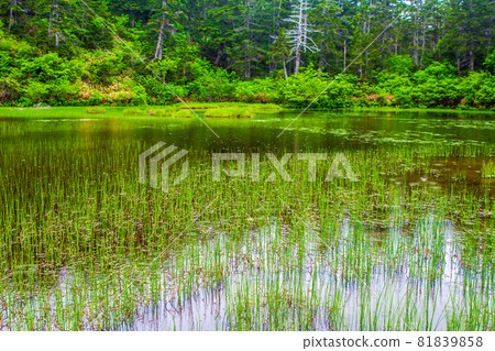 北阿爾卑斯祕境：雨龍晶池 81839858