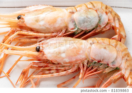 Button shrimp. 81839863