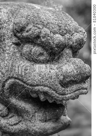 Kayazu Shrine Kayazu Shrine 81840300