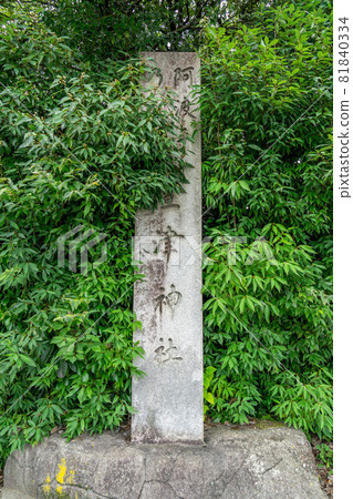 Shokawa Sakura 81840334