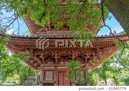 Jimokuji 81840779