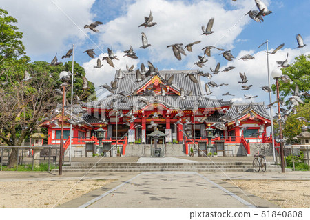 Jimokuji Jimokuji 81840808