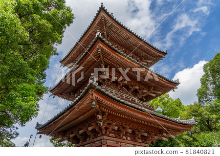 神木寺 81840821