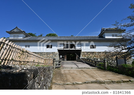 彥根城堡平衡橢圓形 彥根城堡平衡橢圓形 81841366