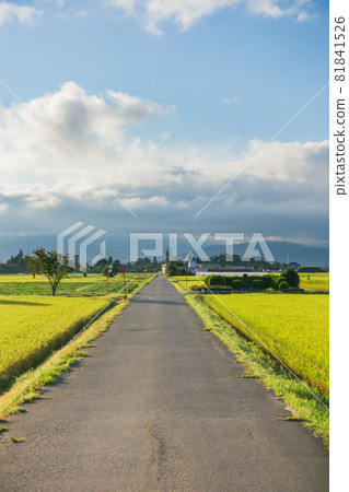 鄉村早晨[松本市島內市] 81841526