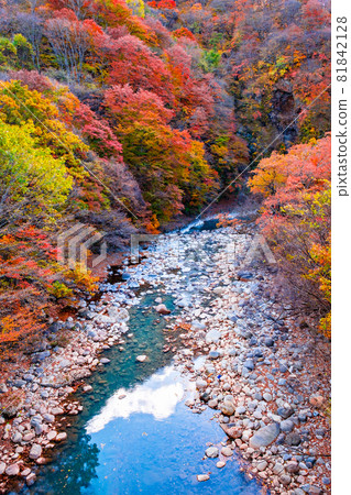White sand valley (autumn) White sand valley (autumn) 81842128