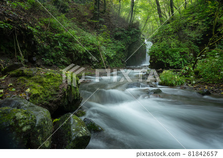 Ryugaku no Waterfall 81842657