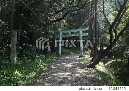 靜岡縣掛川市高天神城跡鳥居 靜岡縣掛川市高天神城跡鳥居 81843533