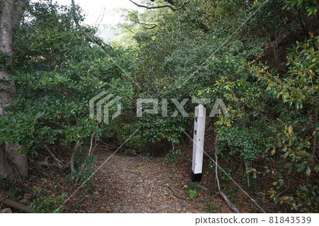 通往靜岡縣掛川市高天神城遺址馬場平的堀切 通往靜岡縣掛川市高天神城遺址馬場平的堀切 81843539