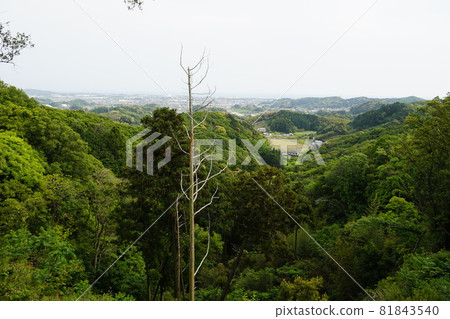 從靜岡縣掛川市馬場平高天神城遺址附近遠眺 從靜岡縣掛川市馬場平高天神城遺址附近遠眺 81843540