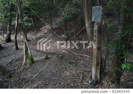 Kakegawa City, Shizuoka Prefecture, Takatenjin Castle Ruins, Sorabori Ruins 81843545