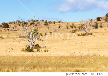 After a dry winter - Swansea 81844716