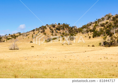 Rolling hills - Swansea 81844717