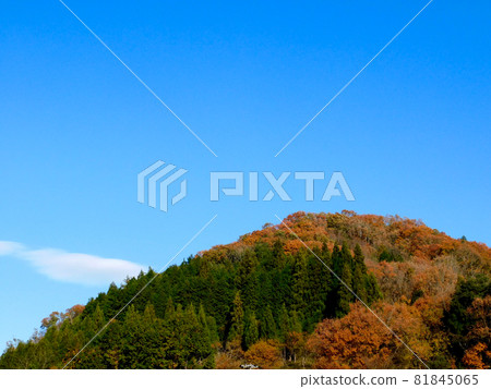 能山會空溫泉附近的秋葉 能山會空溫泉附近的秋葉 81845065