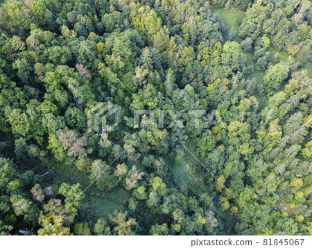 鳥瞰北海道的森林（中山坳附近） 81845067