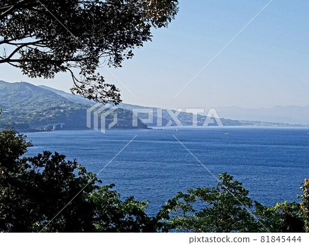 Spring Sagami Bay seen from Manazuru Peninsula [April] 81845444