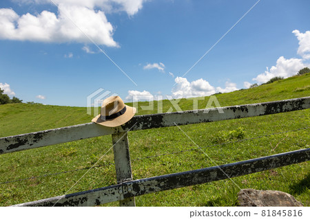 牧場和草帽 81845816