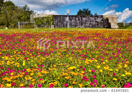 Yuri no Sato Park 81845881