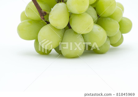 Shine Muscat tufts close-up Shine Muscat tufts close-up 81845969