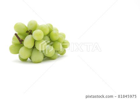 A bunch of Shine Muscat A bunch of Shine Muscat 81845975