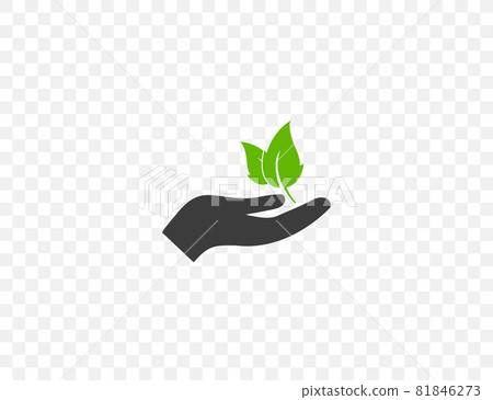 Plant leaf in hand icon. Vector illustration. flat design. 81846273