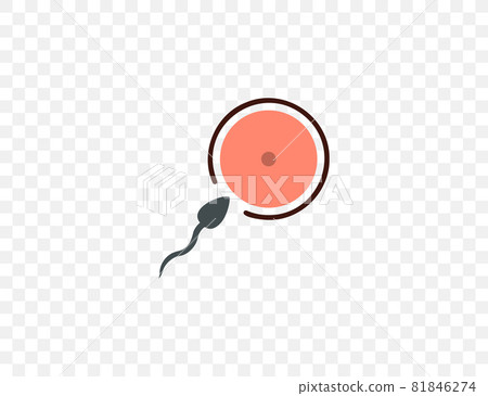 Oocyte fertilization, sperm icon. Vector illustration. flat design. 81846274