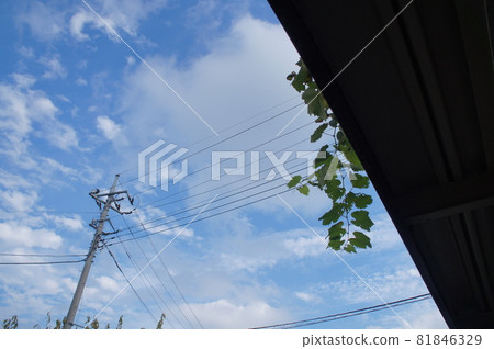 電報桿和天空 電報桿和天空 81846329