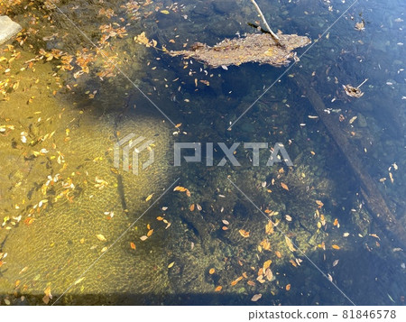 嵐山溪谷和月川的水面（埼玉縣引區嵐山町） 81846578