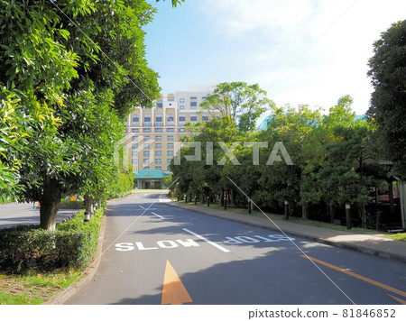 Maihama Hotels Chiba Prefecture 81846852