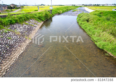 從富山縣中井川區上市町和後橋附近看到的白岩川 81847288