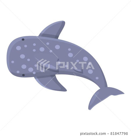 Giant whale shark icon cartoon vector. Sea fish Giant whale shark icon cartoon vector. Sea fish 81847798