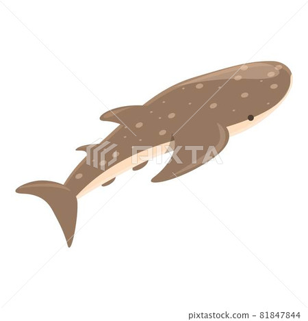 Whale shark icon cartoon vector. Fish sea Whale shark icon cartoon vector. Fish sea 81847844