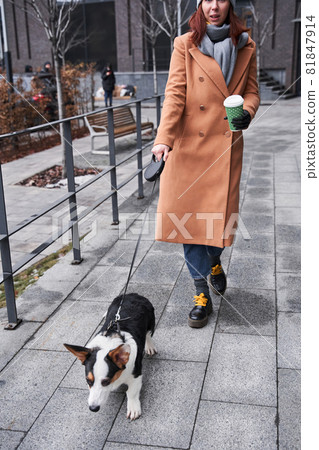 Woman with artificial limb walking with her spotted corgi Woman with artificial limb walking with her spotted corgi 81847914