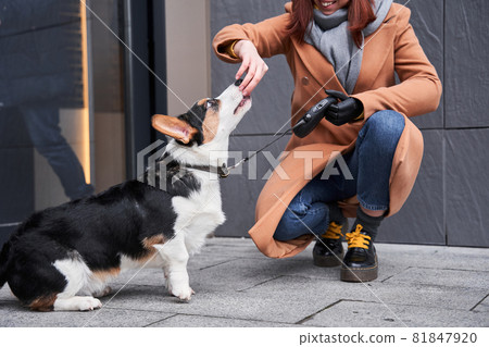 Doggy treatings with his favorite dog food Doggy treatings with his favorite dog food 81847920