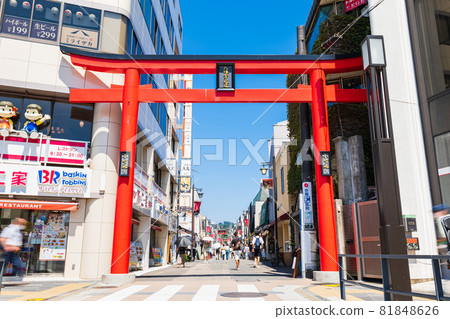 鎌倉小町街 81848626