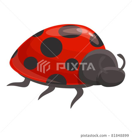 Beetle bug icon cartoon vector. Ladybug insect 81848899