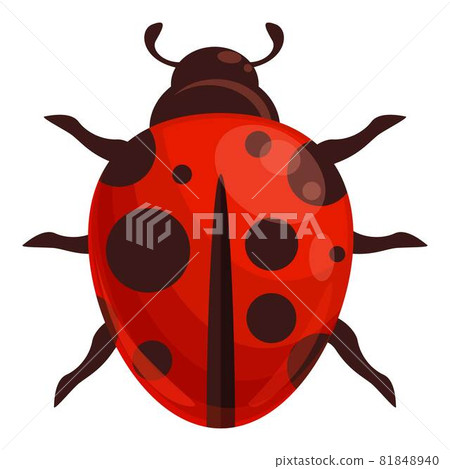 Ladybug insect icon cartoon vector. Spring bug Ladybug insect icon cartoon vector. Spring bug 81848940
