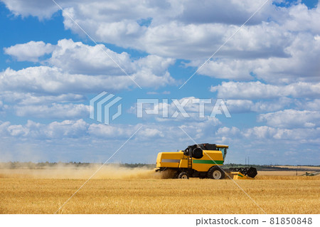 harvesting machine cuts wheat in the field, harvester is working, harvesting harvesting machine cuts wheat in the field, harvester is working, harvesting 81850848