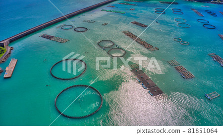 Drone aerial view of aquaculture rafts in Kushimoto Town, the southernmost tip of Honshu, Wakayama Prefecture! Also the famous Kindai tuna farming. 81851064