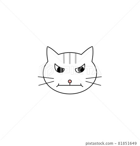 Angry face of a tiger print cat Angry face of a tiger print cat 81851649