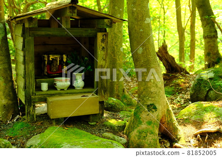 在森林裡的神社 81852005