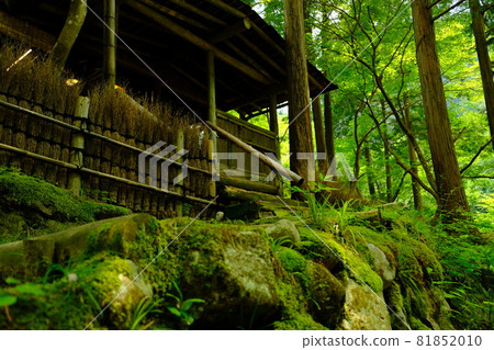 Ishigaki of an old private house Ishigaki of an old private house 81852010