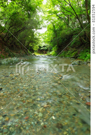 夏三波溪谷[埼玉縣常岐川町] 81852594