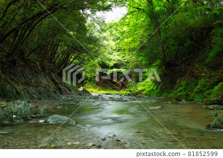 夏三波溪谷[埼玉縣常岐川町] 81852599
