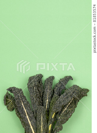 Fresh green organic raw kale, Italian kale, Tuscan kale, lacinato, dinosaur kale, leaves on green background. Top view, copy space 81853574