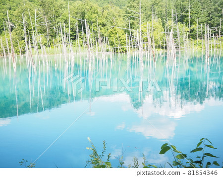 北海道美瑛的旅遊勝地“藍池” 北海道美瑛的旅遊勝地“藍池” 81854346