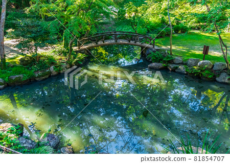 Yoki-so, bright green north garden <Nagoya City, Aichi Prefecture> Yoki-so, bright green north garden <Nagoya City, Aichi Prefecture> 81854707