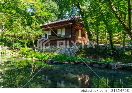 Yoki-so, bright green north garden <Nagoya City, Aichi Prefecture> Yoki-so, bright green north garden <Nagoya City, Aichi Prefecture> 81854708