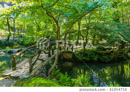 Yoki-so, bright green north garden <Nagoya City, Aichi Prefecture> Yoki-so, bright green north garden <Nagoya City, Aichi Prefecture> 81854710